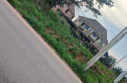 Ugwu Affa Layout
